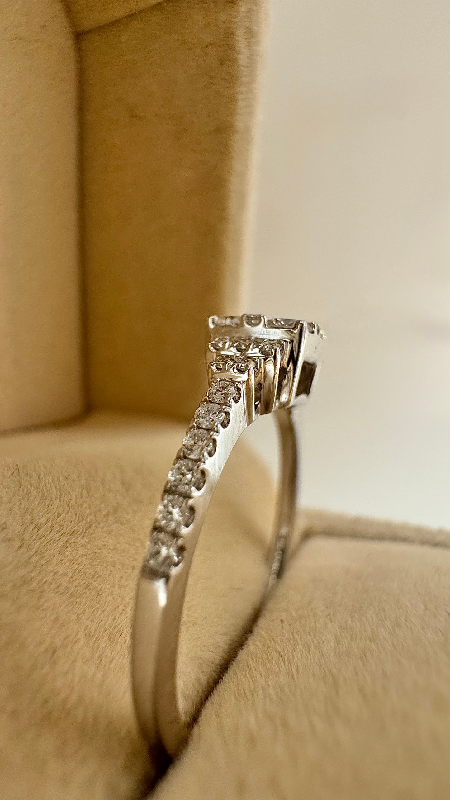 Anello Dafne