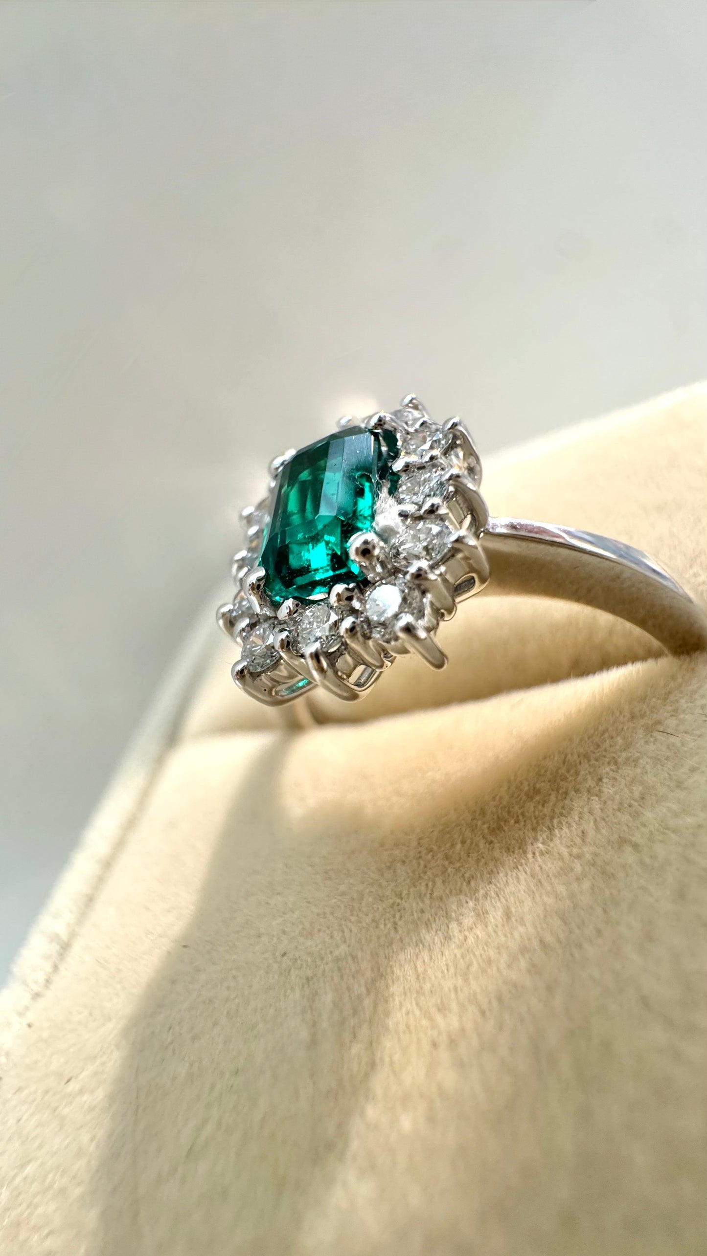 Anello Frame