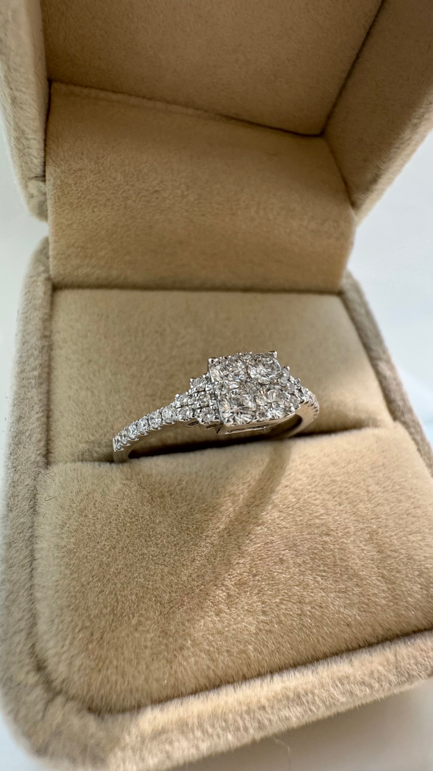 Anello Dafne