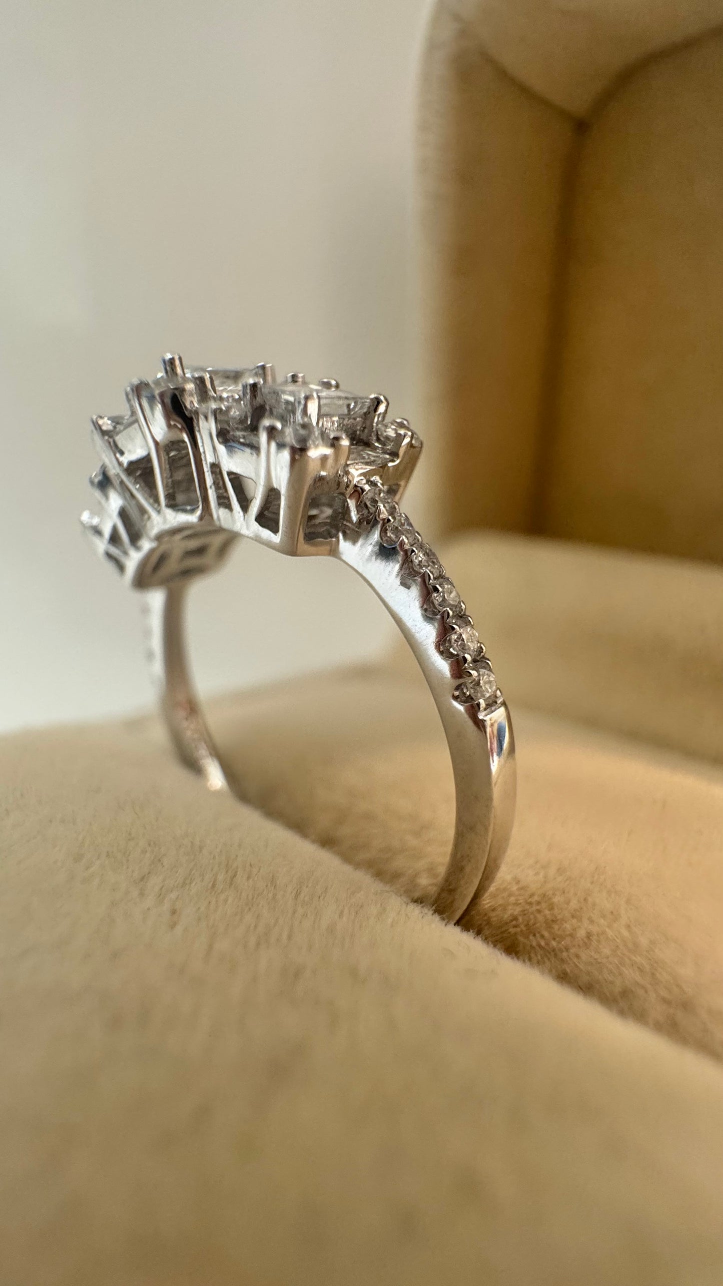 Anello Trilogy Moonlight