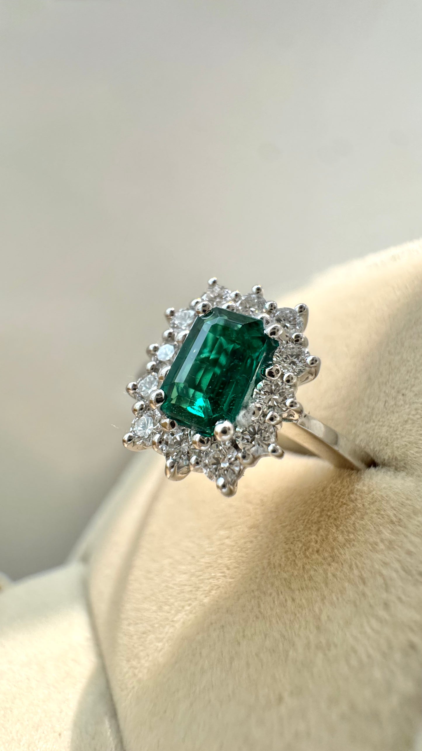 Anello Frame