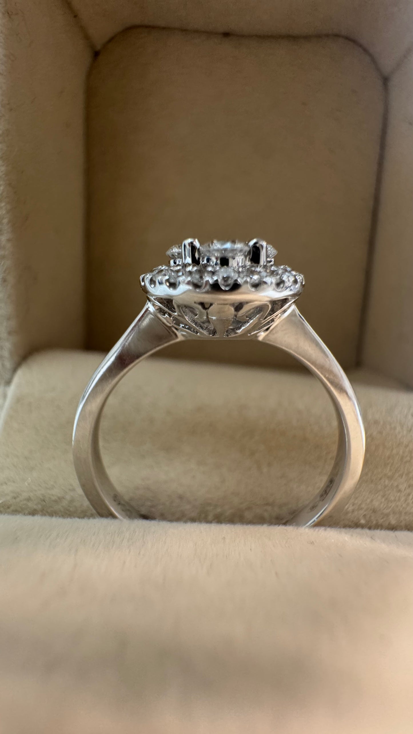 Anello Daisy