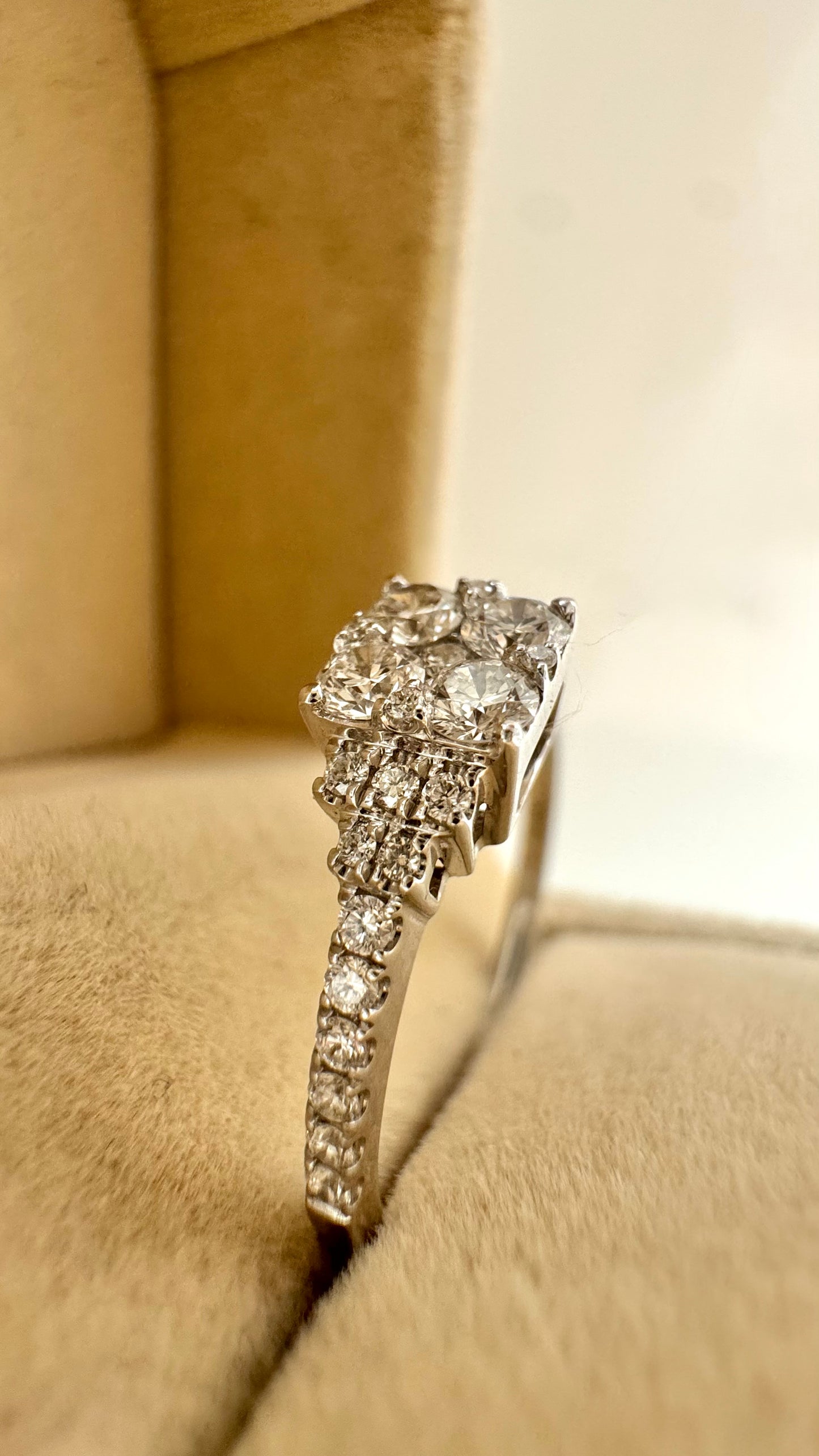 Anello Dafne